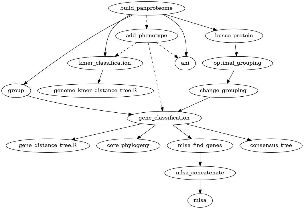 digraph P {
    "build_panproteome" -> "add_phenotype" [style=dashed];
    "build_panproteome" -> "group";
    "build_panproteome" -> "busco_protein";
    "busco_protein" -> "optimal_grouping";
    "optimal_grouping" -> "change_grouping";
    "group" -> "gene_classification";
    "change_grouping" -> "gene_classification";
    "add_phenotype" -> "gene_classification" [style=dashed];
    "gene_classification" -> "gene_distance_tree.R";
    "add_phenotype" -> "kmer_classification" [style=dashed];
    "build_panproteome" -> "kmer_classification";
    "add_phenotype" -> "ani" [style=dashed];
    "build_panproteome" -> "ani";
    "kmer_classification" -> "genome_kmer_distance_tree.R";
    "gene_classification" -> "core_phylogeny";
    "gene_classification" -> "mlsa_find_genes";
    "mlsa_find_genes" -> "mlsa_concatenate";
    "mlsa_concatenate" -> "mlsa";
    "gene_classification" -> "consensus_tree";
}