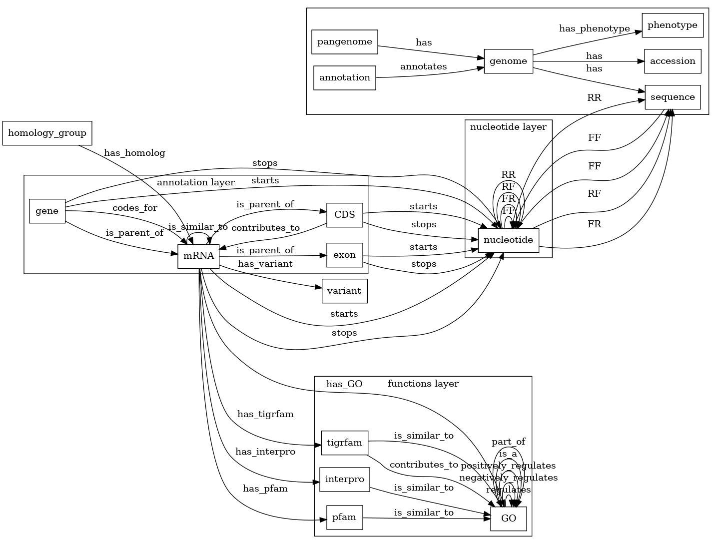 digraph G {
   rankdir=LR;
   node [shape=box];

   subgraph cluster_metadata {
      pangenome [label="pangenome"];
      genome [label="genome"];
      accession [label="accession"];
      phenotype [label="phenotype"];
      annotation [label="annotation"];
      sequence [label="sequence"];

      pangenome -> genome [label="has"];
      genome -> phenotype [label="has_phenotype"];
      genome -> accession [label="has"];
      annotation -> genome [label="annotates"];
      genome -> sequence [label="has"];
   }

   subgraph cluster_nucleotide {
      label="nucleotide layer";

      nucleotide [label="nucleotide"];

      nucleotide -> nucleotide [label="FF"];
      nucleotide -> nucleotide [label="FR"];
      nucleotide -> nucleotide [label="RF"];
      nucleotide -> nucleotide [label="RR"];
   }

   sequence -> nucleotide [label="FF"];
   nucleotide -> sequence [label="FF"];
   nucleotide -> sequence [label="RF"];
   nucleotide -> sequence [label="FR"];
   nucleotide -> sequence [label="RR"];

   subgraph cluster_annotation {
      label="annotation layer";
      gene [label="gene"];
      mRNA [label="mRNA"];
      CDS [label="CDS"];
      exon [label="exon"];

      gene -> mRNA [label="is_parent_of"];
      gene -> mRNA [label="codes_for"];
      mRNA -> CDS [label="is_parent_of"];
      CDS -> mRNA [label="contributes_to"];
      mRNA -> exon [label="is_parent_of"];
      mRNA -> mRNA [label="is_similar_to"];
   }

   homology_group [label="homology_group"];
   variant [label="variant"];

   homology_group -> mRNA [label="has_homolog"];
   mRNA -> variant [label="has_variant"];
   gene -> nucleotide [label="starts"];
   gene -> nucleotide [label="stops"];
   mRNA -> nucleotide [label="starts"];
   mRNA -> nucleotide [label="stops"];
   CDS -> nucleotide [label="starts"];
   CDS -> nucleotide [label="stops"];
   exon -> nucleotide [label="starts"];
   exon -> nucleotide [label="stops"];

   subgraph cluster_functions {
      label="functions layer";

      GO [label="GO"];
      pfam [label="pfam"];
      interpro [label="interpro"];
      tigrfam [label="tigrfam"];

      GO -> GO [label="regulates"];
      GO -> GO [label="negatively_regulates"];
      GO -> GO [label="positively_regulates"];
      GO -> GO [label="is_a"];
      GO -> GO [label="part_of"];
      pfam -> GO [label="is_similar_to"];
      interpro -> GO [label="is_similar_to"];
      tigrfam -> GO [label="is_similar_to"];
      tigrfam -> GO [label="contributes_to"];
   }

   mRNA -> GO [label="has_GO"];
   mRNA -> pfam [label="has_pfam"];
   mRNA -> interpro [label="has_interpro"];
   mRNA -> tigrfam [label="has_tigrfam"];
}