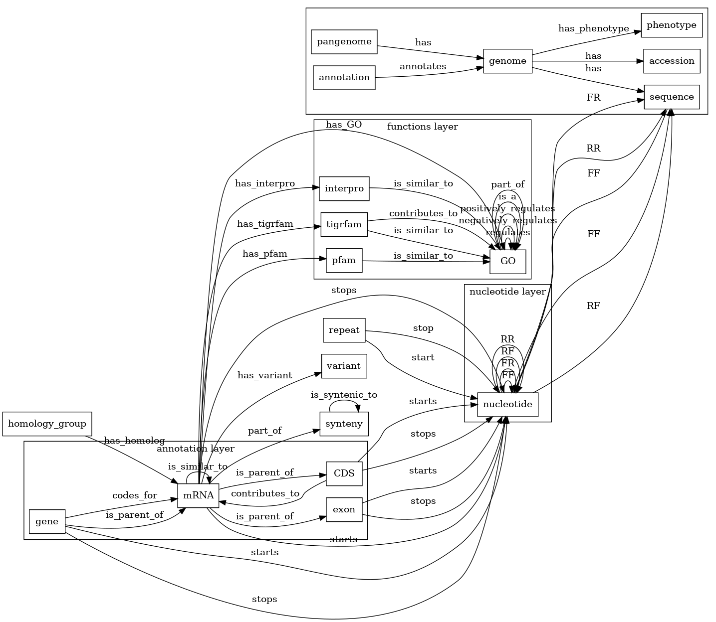 digraph G {
   rankdir=LR;
   node [shape=box];

   subgraph cluster_metadata {
      pangenome [label="pangenome"];
      genome [label="genome"];
      accession [label="accession"];
      phenotype [label="phenotype"];
      annotation [label="annotation"];
      sequence [label="sequence"];

      pangenome -> genome [label="has"];
      genome -> phenotype [label="has_phenotype"];
      genome -> accession [label="has"];
      annotation -> genome [label="annotates"];
      genome -> sequence [label="has"];
   }

   subgraph cluster_nucleotide {
      label="nucleotide layer";

      nucleotide [label="nucleotide"];

      nucleotide -> nucleotide [label="FF"];
      nucleotide -> nucleotide [label="FR"];
      nucleotide -> nucleotide [label="RF"];
      nucleotide -> nucleotide [label="RR"];
   }

   sequence -> nucleotide [label="FF"];
   nucleotide -> sequence [label="FF"];
   nucleotide -> sequence [label="RF"];
   nucleotide -> sequence [label="FR"];
   nucleotide -> sequence [label="RR"];

   subgraph cluster_annotation {
      label="annotation layer";
      gene [label="gene"];
      mRNA [label="mRNA"];
      CDS [label="CDS"];
      exon [label="exon"];

      gene -> mRNA [label="is_parent_of"];
      gene -> mRNA [label="codes_for"];
      mRNA -> CDS [label="is_parent_of"];
      CDS -> mRNA [label="contributes_to"];
      mRNA -> exon [label="is_parent_of"];
      mRNA -> mRNA [label="is_similar_to"];
   }

   homology_group [label="homology_group"];
   variant [label="variant"];
   repeat [label="repeat"];
   synteny [label="synteny"];

   homology_group -> mRNA [label="has_homolog"];
   mRNA -> variant [label="has_variant"];
   repeat -> nucleotide [label="start"];
   repeat -> nucleotide [label="stop"];
   mRNA -> synteny [label="part_of"];
   synteny -> synteny [label="is_syntenic_to"];
   gene -> nucleotide [label="starts"];
   gene -> nucleotide [label="stops"];
   mRNA -> nucleotide [label="starts"];
   mRNA -> nucleotide [label="stops"];
   CDS -> nucleotide [label="starts"];
   CDS -> nucleotide [label="stops"];
   exon -> nucleotide [label="starts"];
   exon -> nucleotide [label="stops"];

   subgraph cluster_functions {
      label="functions layer";

      GO [label="GO"];
      pfam [label="pfam"];
      interpro [label="interpro"];
      tigrfam [label="tigrfam"];

      GO -> GO [label="regulates"];
      GO -> GO [label="negatively_regulates"];
      GO -> GO [label="positively_regulates"];
      GO -> GO [label="is_a"];
      GO -> GO [label="part_of"];
      pfam -> GO [label="is_similar_to"];
      interpro -> GO [label="is_similar_to"];
      tigrfam -> GO [label="is_similar_to"];
      tigrfam -> GO [label="contributes_to"];
   }

   mRNA -> GO [label="has_GO"];
   mRNA -> pfam [label="has_pfam"];
   mRNA -> interpro [label="has_interpro"];
   mRNA -> tigrfam [label="has_tigrfam"];
}