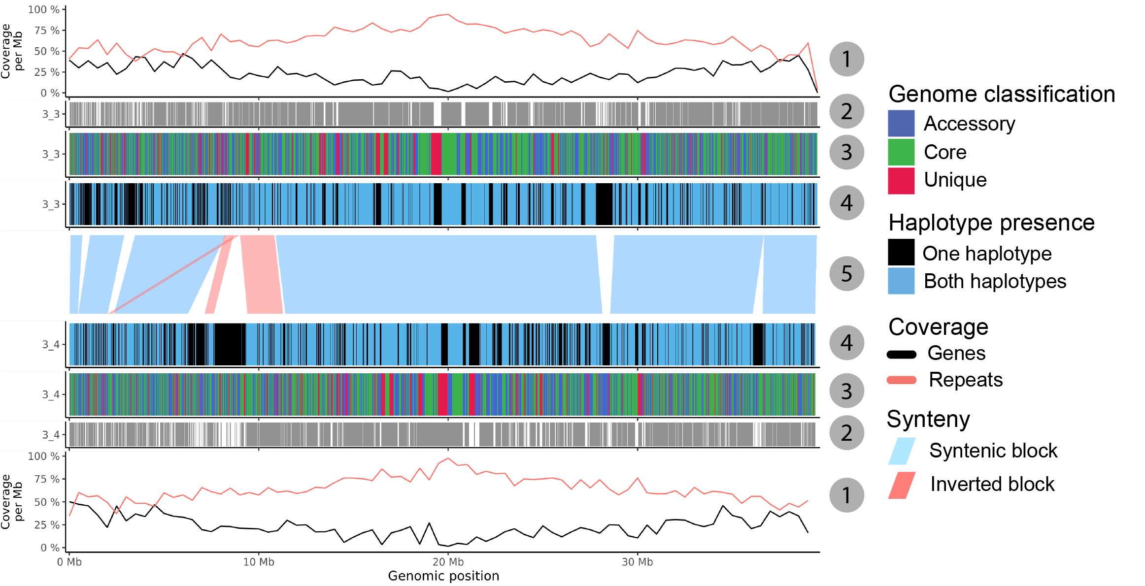 ../_images/seq_vis_two_haplotypes_numbers.png